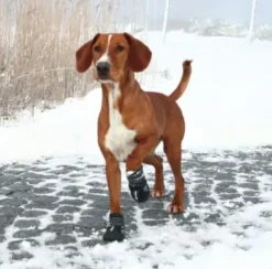 ❄️Klar Til Vintervejret|Efterårsklar^Trixie Walker Active Protective boots | hundestøvler 2 stk.