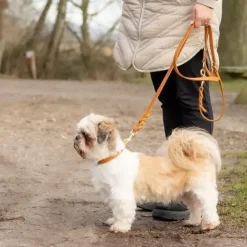 Hundehalsbånd^Walk'it Læder/messing halsbånd
