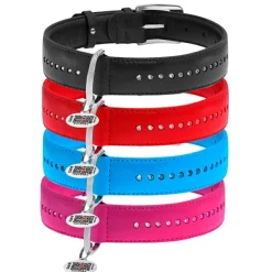 Hundehalsbånd^Collar/WauDog WauDog Glamour Halsbånd | OUTLET