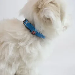 Hundehalsbånd^Collar/WauDog Waudog Rundsyet Læder Halsbånd