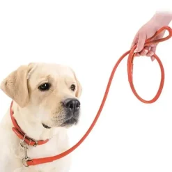Hundehalsbånd^Collar/WauDog Waudog Rundsyet Læder Halsbånd