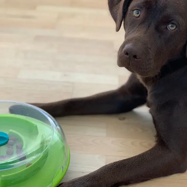 Aktivitetslegetøj Til Hunde|Madskål Og Vandskål^Nina Ottosson Wobble Bowl |