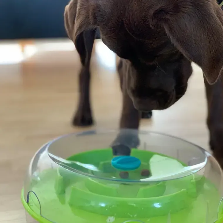 Aktivitetslegetøj Til Hunde|Madskål Og Vandskål^Nina Ottosson Wobble Bowl |