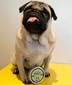 Miljøvenlige, Bæredygtige & Øko Produkter^Natural Dog Company Wrinkle Balm til hudfolder |