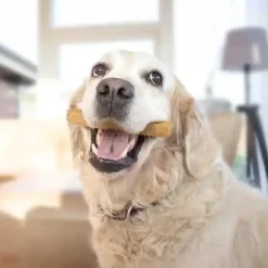 Hvalpegodbidder Og Gnaveben|Nytårskurven^Yaki dog snacks Yaki Tyggeben