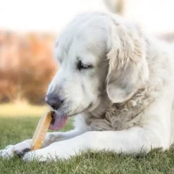 Hvalpegodbidder Og Gnaveben|Nytårskurven^Yaki dog snacks Yaki Tyggeben
