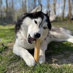 Hvalpegodbidder Og Gnaveben|Nytårskurven^Yaki dog snacks Yaki Tyggeben