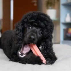 Lyserøde Favoritter|Godbidder Og Gnaveben^Yaki dog snacks Yaki Tyggeben | Jordbær