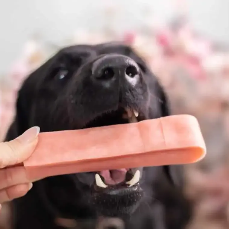 Lyserøde Favoritter|Godbidder Og Gnaveben^Yaki dog snacks Yaki Tyggeben | Jordbær