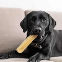 Godbidder Og Gnaveben^Yaki dog snacks Yaki Tyggeben | Peanutbutter