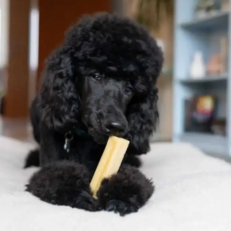 Godbidder Og Gnaveben^Yaki dog snacks Yaki Tyggeben | Peanutbutter