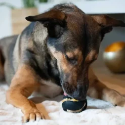 Aktivitetslegetøj Til Hunde|Bolde^Zeus Chewchasers Treat Ball | 7,5cm