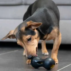 Aktivitetslegetøj Til Hunde|Hundelegetøj Uden Piv^Zeus Chewchasers Treat Peanut